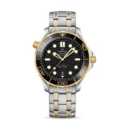 Seamaster DIVER 300M CO‑AXIAL MASTER CHRONOMETER Ref# 210.20.42.20.01.002
