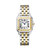 Unworn Panthère, Stainless Steel, 18k Yellow Gold, 29mm x 37mm, Ref# W2PN0007, with box