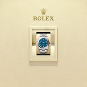 Unworn 2025, Oyster Perpetual, Oystersteel 41mm, Blue dial, Domed Oyster, Ref# 134300-0009, with box
