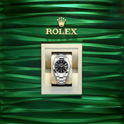 Datejust 41, Stainless Steel, 41mm, Ref# 126300-0011