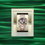 Cosmograph Daytona 40mm, 18k Everose Gold, Ref# 126505-0002