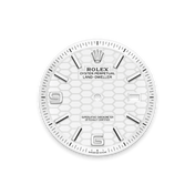 Land-Dweller 40mm Oystersteel & White Gold M127334-0001