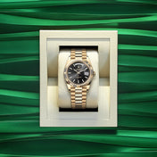 Day-Date 40, 18k Yellow Gold, 40mm, Ref# 228238-0067