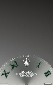 Datejust 41 Oystersteel Ref# 126300-0013