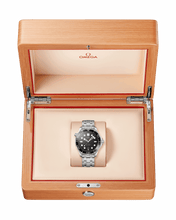 Seamaster DIVER 300M CO‑AXIAL MASTER CHRONOMETER Ref# 210.30.42.20.01.001