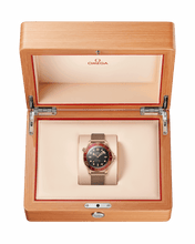 Unworn, Seamaster Diver 300m, 18k Bronze Gold, 42mm, Ref# 210.90.42.20.01.003, with box