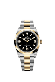 Explorer, 18k Yellow Gold and Stainless steel, 36mm, Ref# 124273-0001, 2024