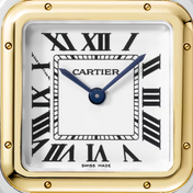 Unworn Panthère, Stainless Steel, 18k Yellow Gold, 29mm x 37mm, Ref# W2PN0007, with box