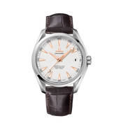Pre-owned Seamaster Aqua Terra 150m 41.5mm 231.13.42.21.02.003 Complete, 2019