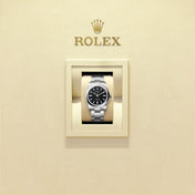 Unworn 2025, Oyster Perpetual, Oystersteel, 34mm, Black dial, Domed Oyster, Ref# 124200-0010, with box