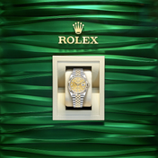 Datejust 36, 18k Yellow Gold and Stainless Steel, 36mm, Ref# 126233-0033