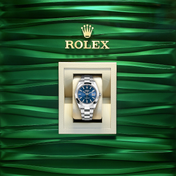 Datejust 41, Stainless Steel, 41mm, Ref# 126300-0001