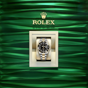 Sea-Dweller, Stainless Steel and 18k Yellow Gold, 43mm, Ref# 126603-0001