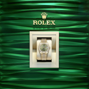 Datejust 31, 18kt Yellow Gold, Ref# 278288RBR-0007