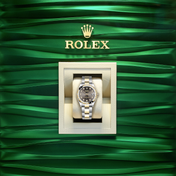 Datejust 31, Oystersteel, 18kt Yellow Gold and diamonds, Ref# 278343RBR-0021