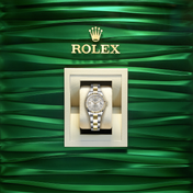 Lady-Datejust 28, Oystersteel and 18k Yellow Gold, Ref# 279173-0004