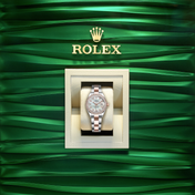 Lady-Datejust 28, Oystersteel and 18k Everose Gold, Ref# 279381RBR-0014