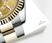 Sky-Dweller 42mm, Oystersteel and 18k Yellow Gold, Ref# 326933-0001