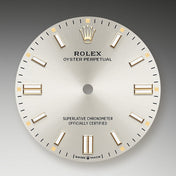 Oyster Perpetual, Stainless Steel, 36mm, Ref# 126000-0001