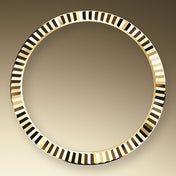 Datejust 41, 18k Yellow Gold and Stainless Steel, 41mm, Ref# 126333-0016