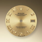Lady-Datejust 28, Oystersteel and 18k Yellow Gold, Ref# 279383RBR-0009